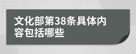 文化部第38条具体内容包括哪些