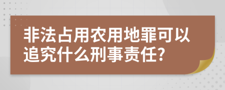 非法占用农用地罪可以追究什么刑事责任?