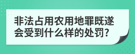 非法占用农用地罪既遂会受到什么样的处罚?