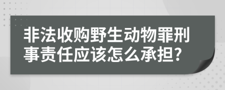 非法收购野生动物罪刑事责任应该怎么承担?