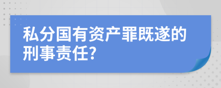 私分国有资产罪既遂的刑事责任?