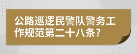 公路巡逻民警队警务工作规范第二十八条?