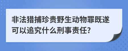 非法猎捕珍贵野生动物罪既遂可以追究什么刑事责任?