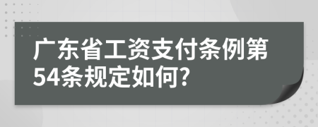 广东省工资支付条例第54条规定如何?