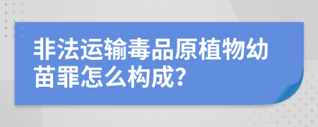 非法运输毒品原植物幼苗罪怎么构成？