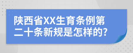 陕西省XX生育条例第二十条新规是怎样的?