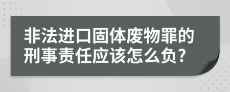 非法进口固体废物罪的刑事责任应该怎么负?