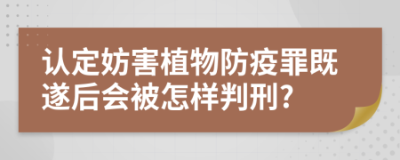 认定妨害植物防疫罪既遂后会被怎样判刑?