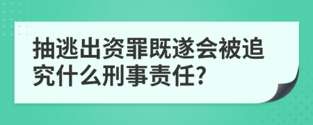 抽逃出资罪既遂会被追究什么刑事责任?