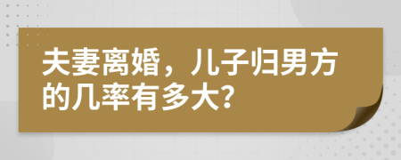 夫妻离婚，儿子归男方的几率有多大？