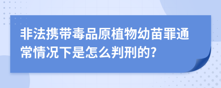 非法携带毒品原植物幼苗罪通常情况下是怎么判刑的?