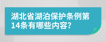 湖北省湖泊保护条例第14条有哪些内容？