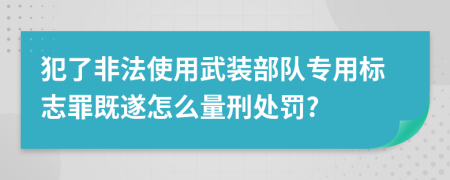 犯了非法使用武装部队专用标志罪既遂怎么量刑处罚?