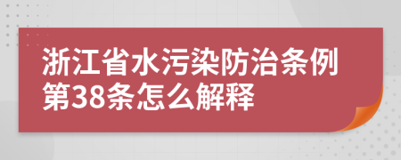 浙江省水污染防治条例第38条怎么解释