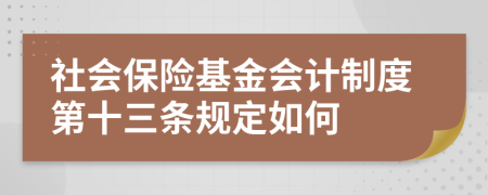 社会保险基金会计制度第十三条规定如何