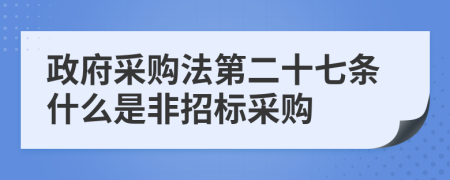 政府采购法第二十七条什么是非招标采购