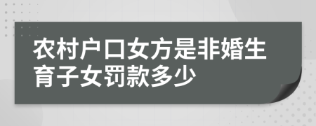 农村户口女方是非婚生育子女罚款多少