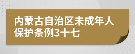 内蒙古自治区未成年人保护条例3十七