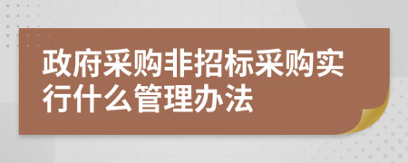 政府采购非招标采购实行什么管理办法