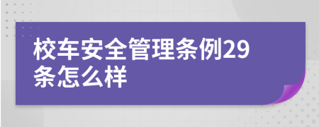 校车安全管理条例29条怎么样