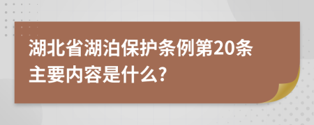 湖北省湖泊保护条例第20条主要内容是什么?