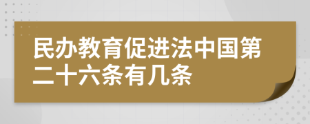 民办教育促进法中国第二十六条有几条