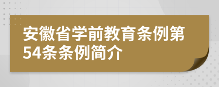 安徽省学前教育条例第54条条例简介