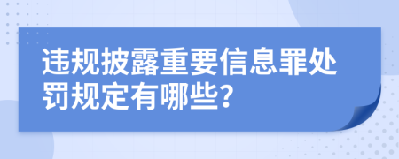 违规披露重要信息罪处罚规定有哪些？