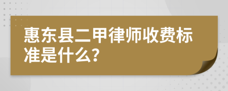 惠东县二甲律师收费标准是什么？