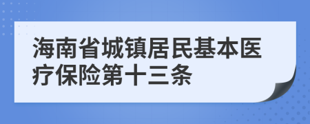 海南省城镇居民基本医疗保险第十三条