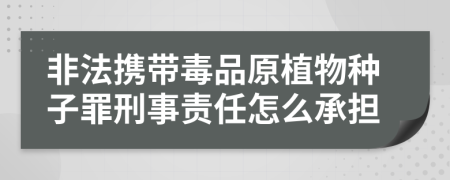 非法携带毒品原植物种子罪刑事责任怎么承担