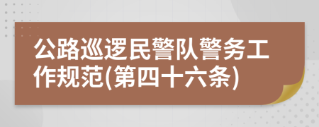 公路巡逻民警队警务工作规范(第四十六条)