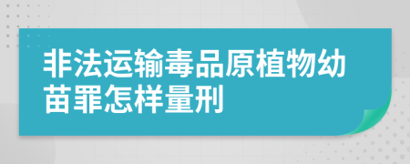 非法运输毒品原植物幼苗罪怎样量刑