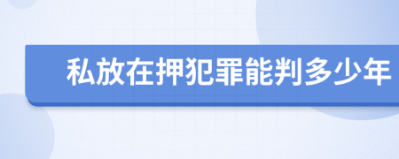 私放在押犯罪能判多少年
