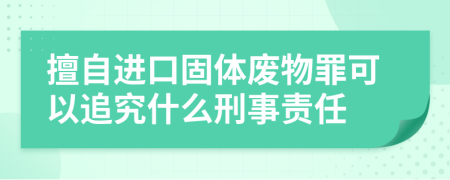 擅自进口固体废物罪可以追究什么刑事责任