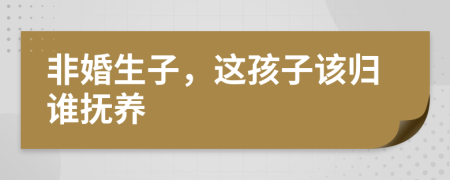 非婚生子，这孩子该归谁抚养