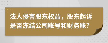 法人侵害股东权益，股东起诉是否冻结公司账号和财务账?