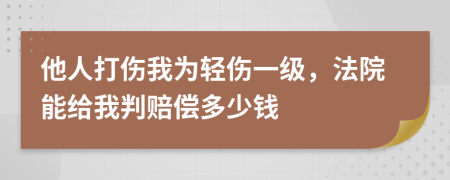 他人打伤我为轻伤一级，法院能给我判赔偿多少钱