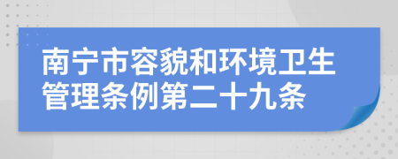 南宁市容貌和环境卫生管理条例第二十九条