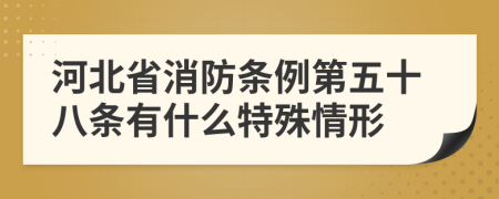河北省消防条例第五十八条有什么特殊情形