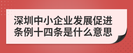 深圳中小企业发展促进条例十四条是什么意思