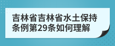 吉林省吉林省水土保持条例第29条如何理解