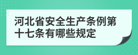 河北省安全生产条例第十七条有哪些规定