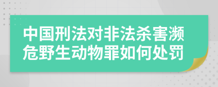 中国刑法对非法杀害濒危野生动物罪如何处罚