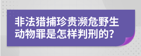 非法猎捕珍贵濒危野生动物罪是怎样判刑的？