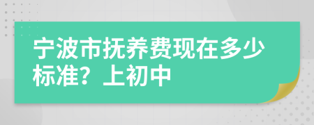 宁波市抚养费现在多少标准？上初中