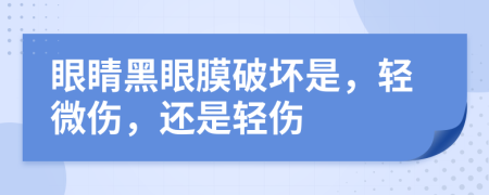 眼睛黑眼膜破坏是，轻微伤，还是轻伤