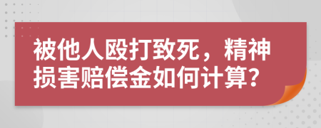 被他人殴打致死，精神损害赔偿金如何计算？