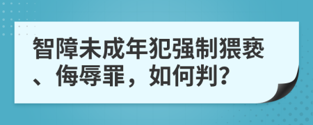 智障未成年犯强制猥亵、侮辱罪，如何判？