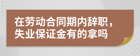 在劳动合同期内辞职，失业保证金有的拿吗